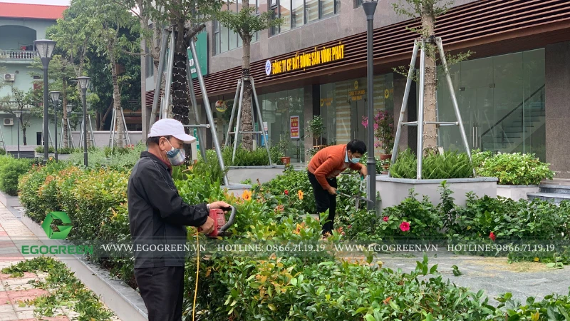 Vì sao thiết kế sân vườn đúng giúp khu nghỉ dưỡng vận hành tiết kiệm chi phí hơn?